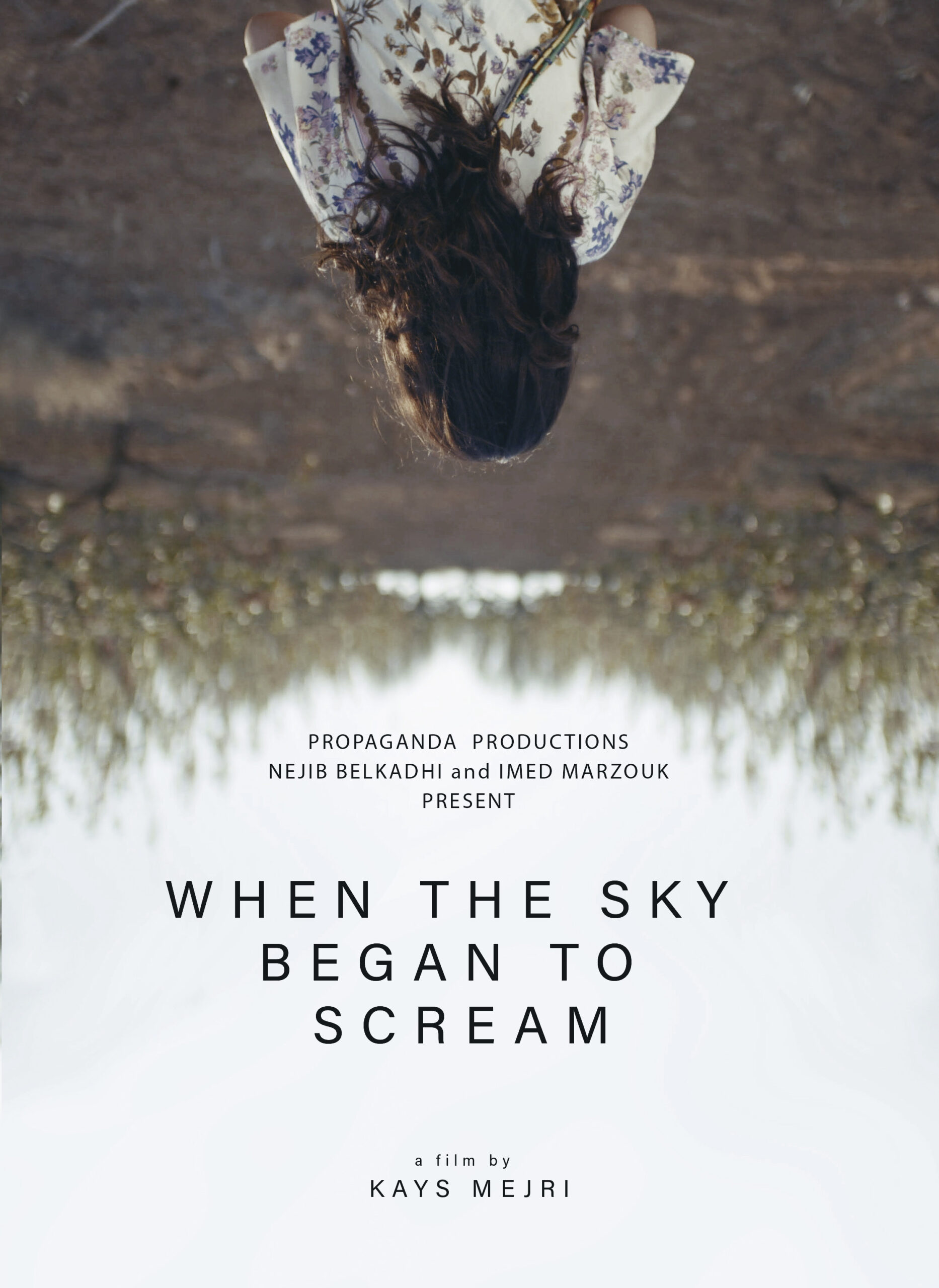 When the Sky Began to Scream